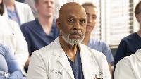 Click to watch 'Love in the Ice Age' (popup) Greys Anatomy